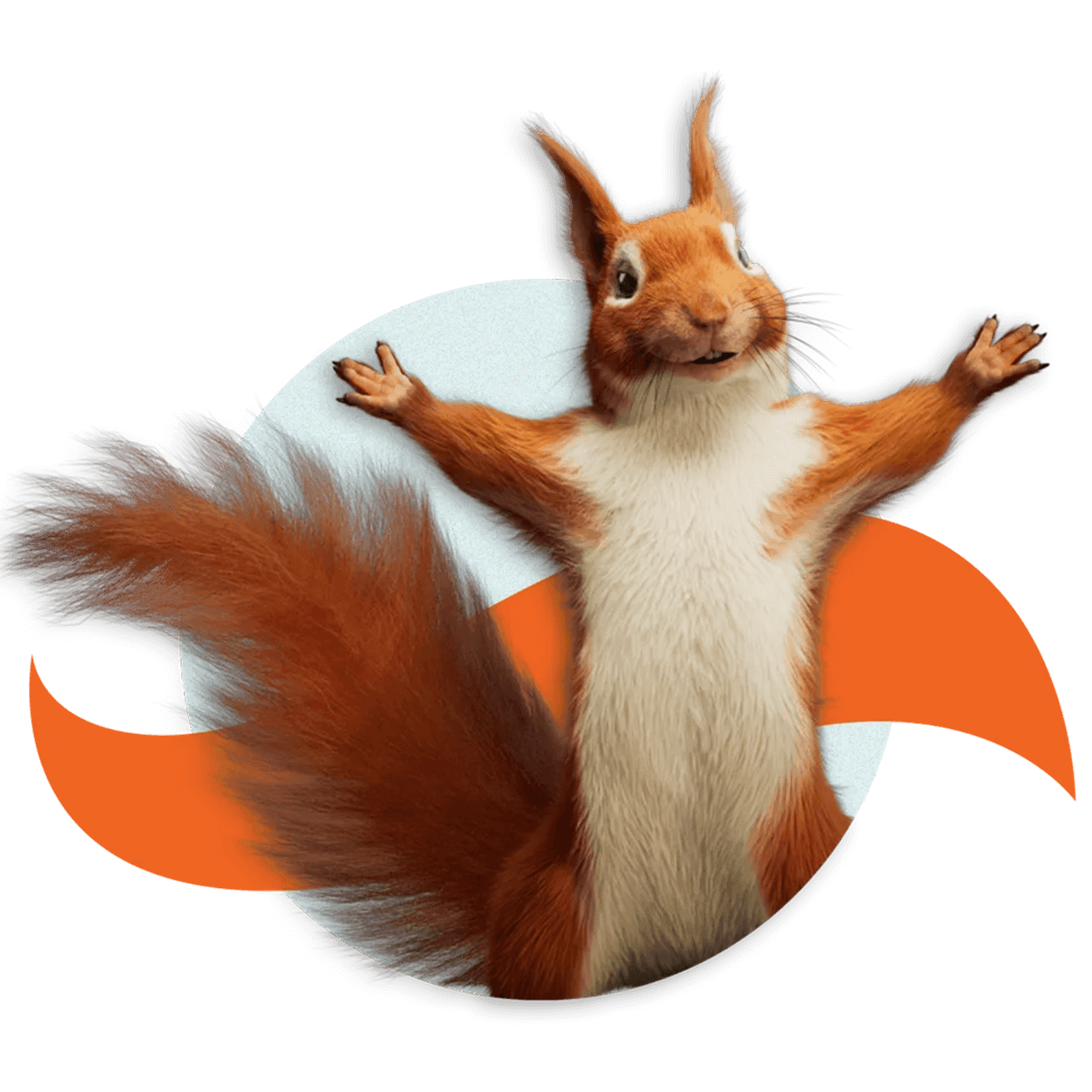 Bernie arrives. The Squirrel Effect launches.