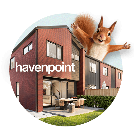 Havenpoint & Squirrel