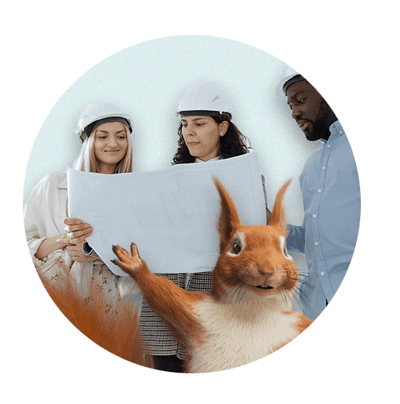 Three people wearing hard hats looking at plans. Squirrel popping up in foreground