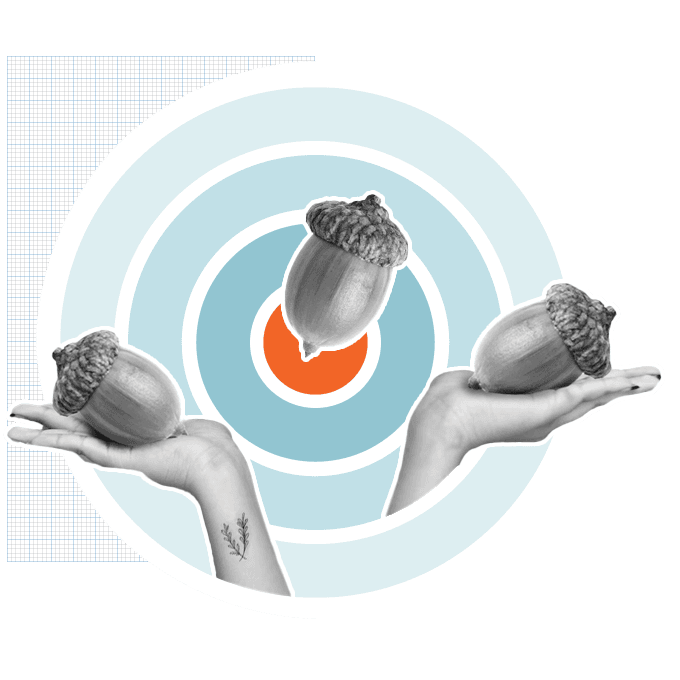 Hands holding acorns in their hands with target sitting behind