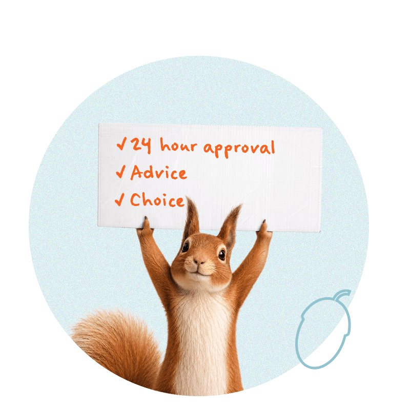 Bernie the Squirrel holding up a sign reading 24 hour approval, advice, choice