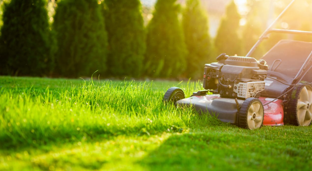 Close up of a lawnmower partway through cutting a lawn