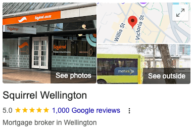 Google reviews - Squirrel Wellington