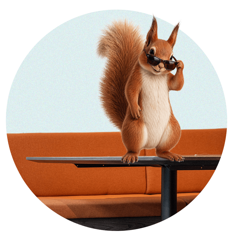 Bernie the Squirrel pulling his sunglasses down with cheeky expression standing on a table
