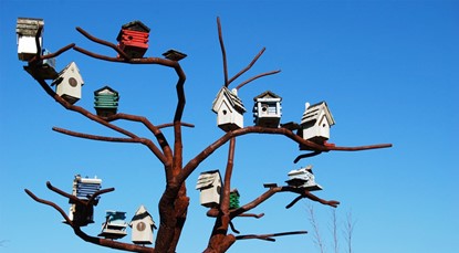 Birdhouses on branches of a tree
