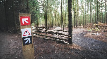 Signs pointing various ways in forest