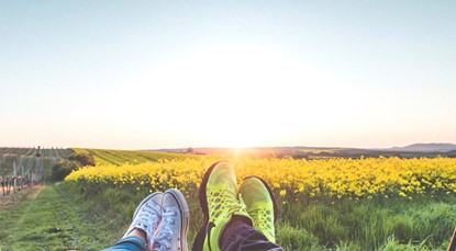 Yellow field landscape, converse shoes in foreground