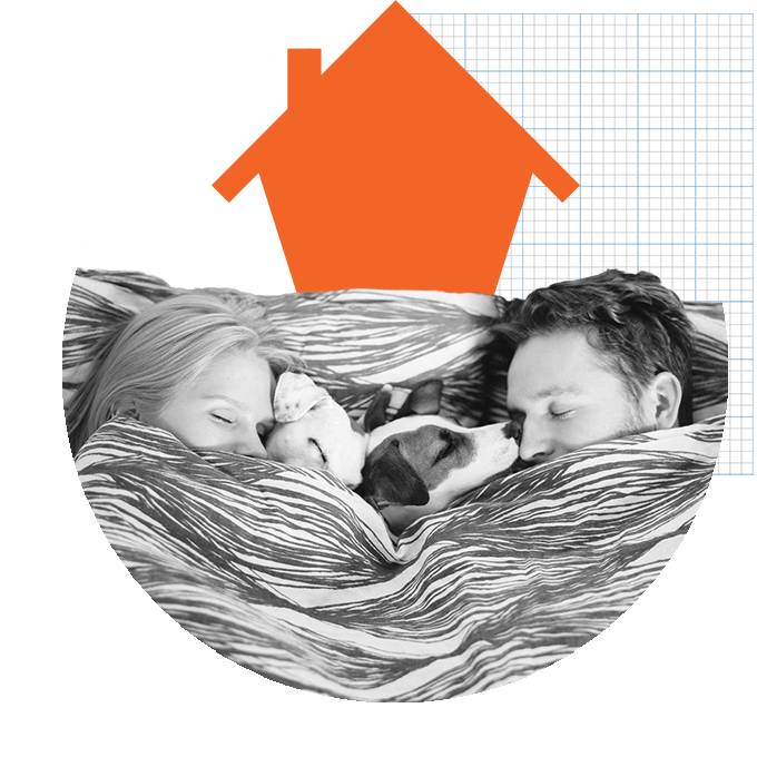 Couple with dogs in bed