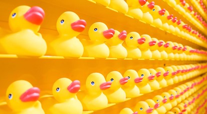 Rubber ducks lined up on shelves on the wall