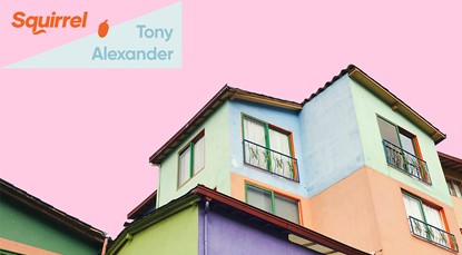 Houses against pink background with Squirrel logo and Tony Alexander