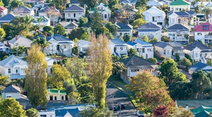 Houses in Auckland suburb