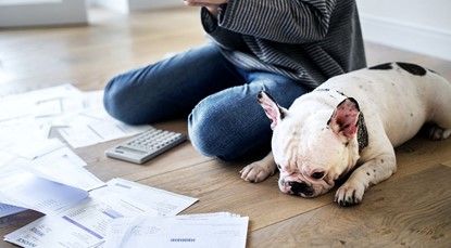 Woman and dog sitting on floor with calculator and papers