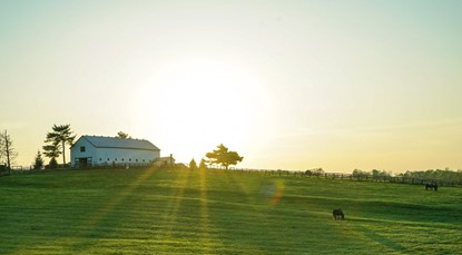 House on a green field with sun rise behind
