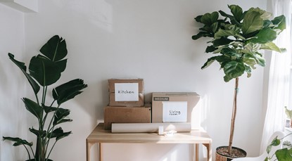 Boxes on desk, next to house plants