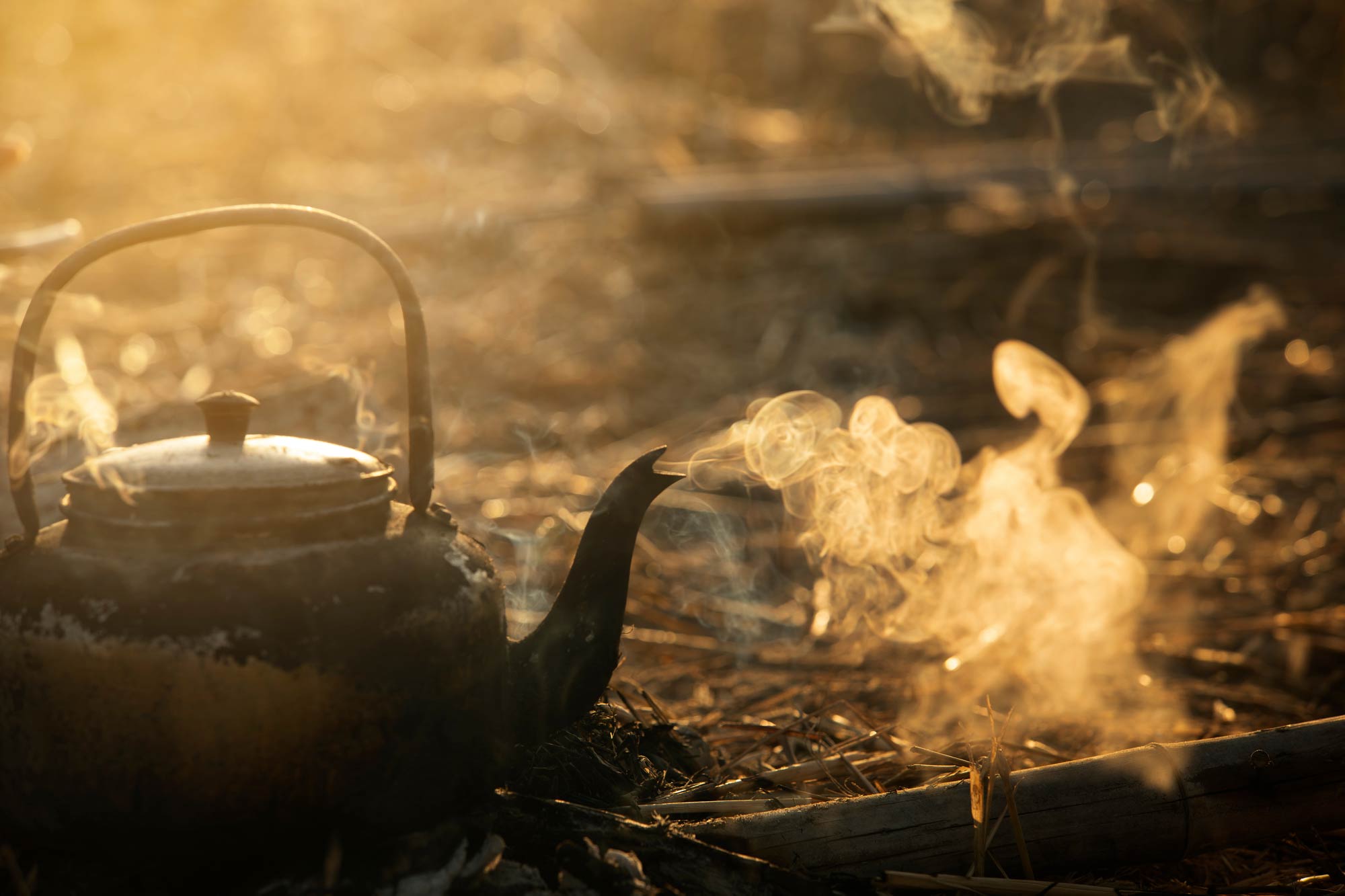 Steaming kettle sitting in gold light
