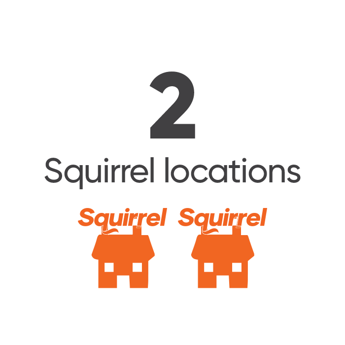 2 Squirrel locations